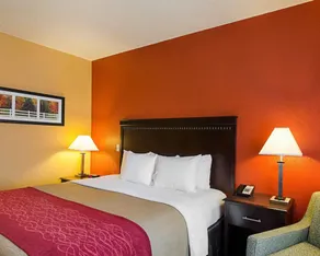 Comfort Inn & Suites Orange - Montpelier - Værelse