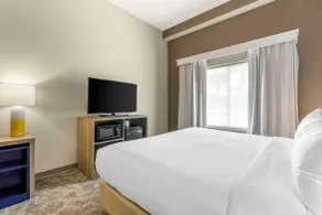Comfort Suites Sarasota-Siesta Key - Room