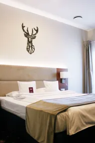 ParkHotel Łysoń - Room