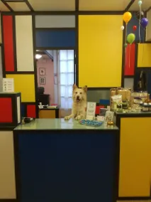 Hotel Cairoli - Réception