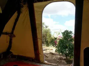 Galilee Bedouin Camplodge - Udsigt fra værelset