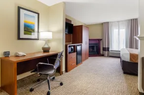 Comfort Suites Abingdon I-81 - Chambre
