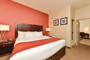Comfort Inn & Suites Airport South - Chambre