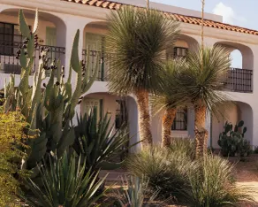 Kimpton Miralina Resort and Villas by IHG - Vue de la chambre