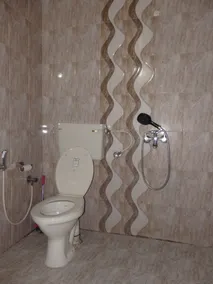 Honolulu Home - Bathroom