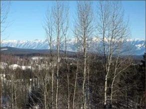 Escape Away Kimberley - View from room