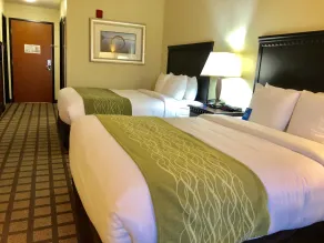 Comfort Inn & Suites Montgomery Eastchase - Vue de la chambre