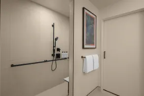 The Waymark Chattanooga, Tapestry Collection By Hilton - Salle de bain