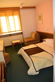 Bat Hotel Bistrica - Værelse