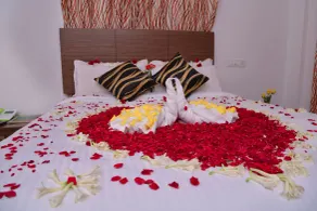 Pine Tree Munnar - Room