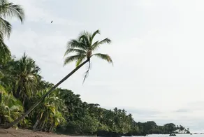 Morro Terco Hotel Nuquí - Beach