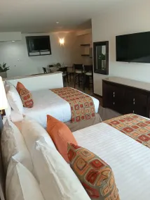 Ankara Pedregal Centro de Convenciones - Room