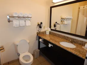 Holiday Inn Express & Suites Washington - Meadow Lands by IHG - Chambre