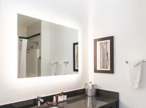 Wingate by Wyndham and Williamson Conference Center - Salle de bain