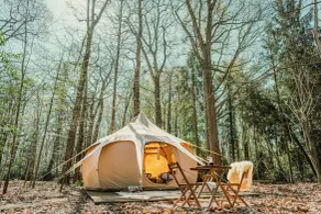 Boomkamp treehouses - Værelse