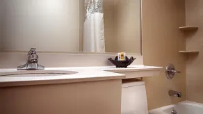 Best Western JFK Airport Hotel - Bathroom
