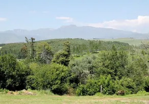 The Nest Drakensberg Mountain Resort Hotel - View from room
