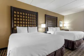 Comfort Inn Sherman - Denison Area - Rum