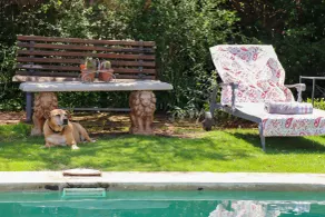 Maison H Guest House - Pool