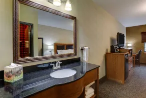 Stoney Creek Hotel Sioux City - Salle de bain