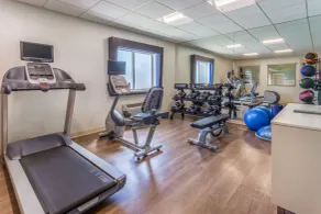 Holiday Inn Express Columbus - Ohio Expo Center by IHG - Salle de remise en forme