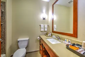 Comfort Suites Tomball Medical Center - Bathroom