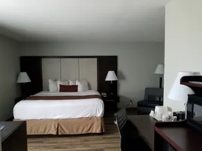 Wyndham Garden Hotel - Jacksonville - Room