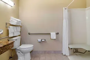 Comfort Inn & Suites Suwanee - Sugarloaf - Rum