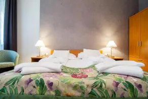 Batthyány Kastélyszálló - Room