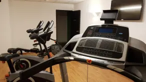 Enzo Hôtels Diane - Logis Amnéville - Salle de remise en forme