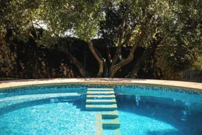 Garden Oasis Pool Villa - Pool