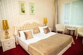 Hotel Carpathia - Room