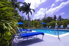 Palm Garden Hotel - Pool