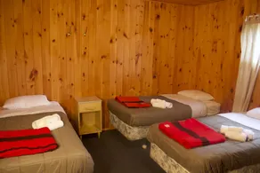 White Birch Lodge - Chambre