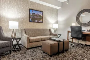 Drury Plaza Hotel College Station - Chambre