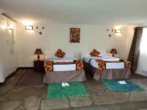 Davinci Gorilla Lodge - Chambre