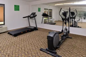 Quality Inn & Suites Matteson near I-57 - Salle de remise en forme