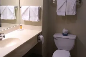Wesley Inn and Suites - Salle de bain