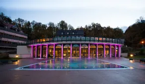 Les Violettes Hotel & SPA Alsace, BW Premier Collection - Piscine