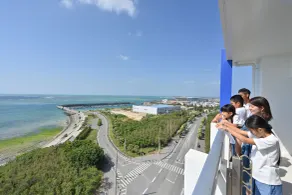 Daily & Weekly Condominium BLUE OCEAN ISHIGAKI - Vista dalla camera