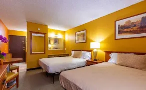 Sun Valley Suites - Chambre