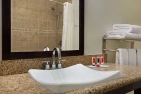 Ramada by Wyndham Oakland Downtown City Center - Salle de bain