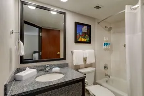 Drury Inn & Suites St Joseph - Salle de bain