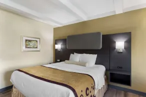 Best Western Plus Madison-Huntsville Hotel - Chambre
