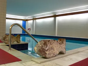 Hotel Meran Hallenbad & Sauna - Piscine