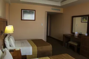 Hotel Soleil Celaya - Room
