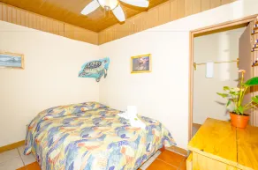 Blue Iguana - Room