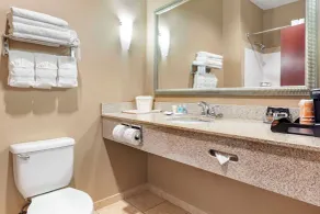 Comfort Suites Palestine - Chambre