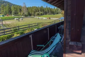 Apartmenthaus Jagdhof - Utsikt från rummet