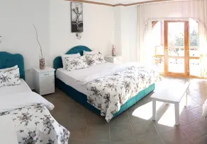 Dolphin Boutique Hotel - Room